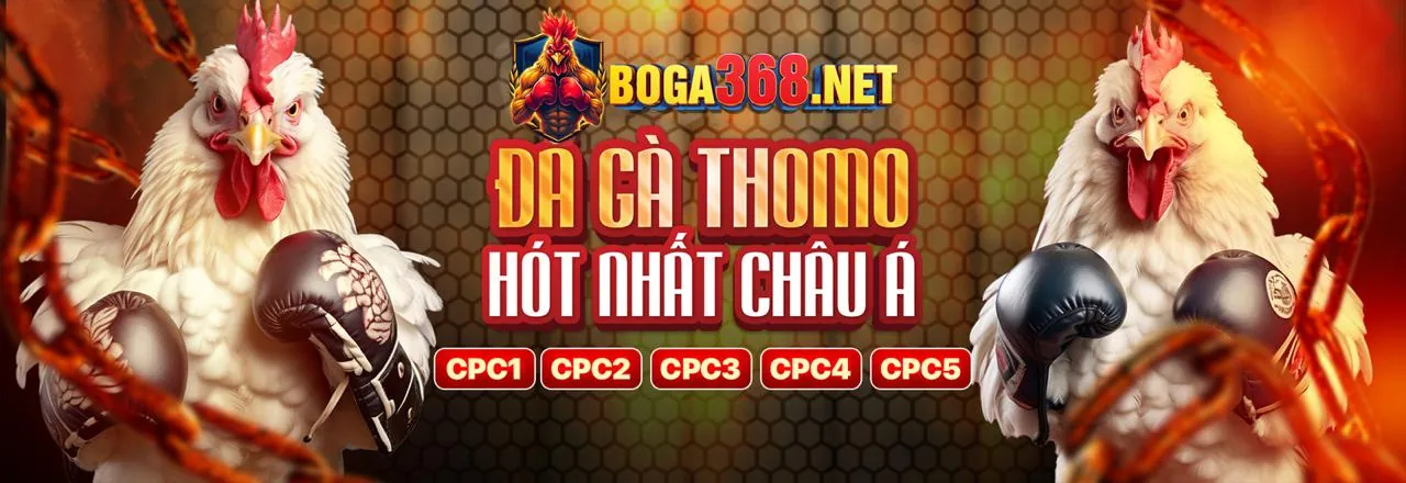 Các chương trình khuyến mãi độc quyền tại VZ88.COM