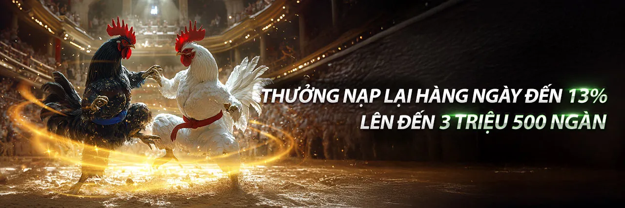 Sân vận động với trận đấu bóng đá đang diễn ra, biểu tượng cho cá cược thể thao trực tuyến VZ88.com.
